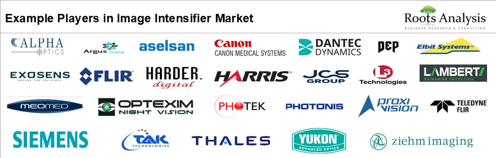 Image Intensifier Market by Example Players