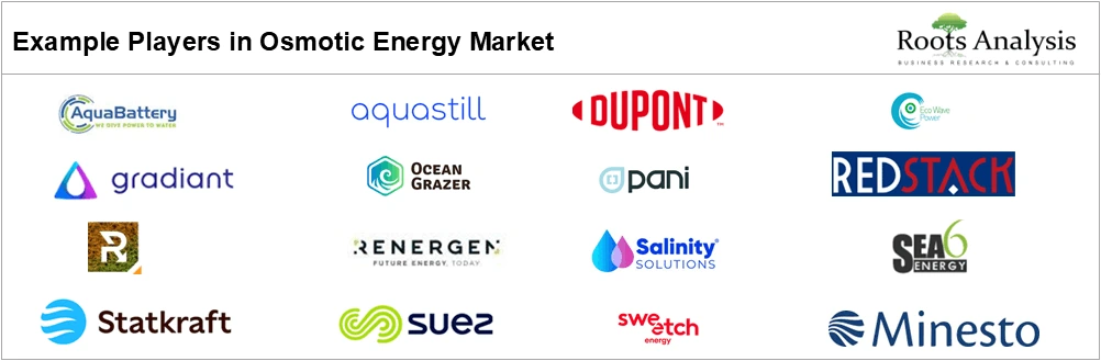 Osmotic Energy Market by Players, 2026