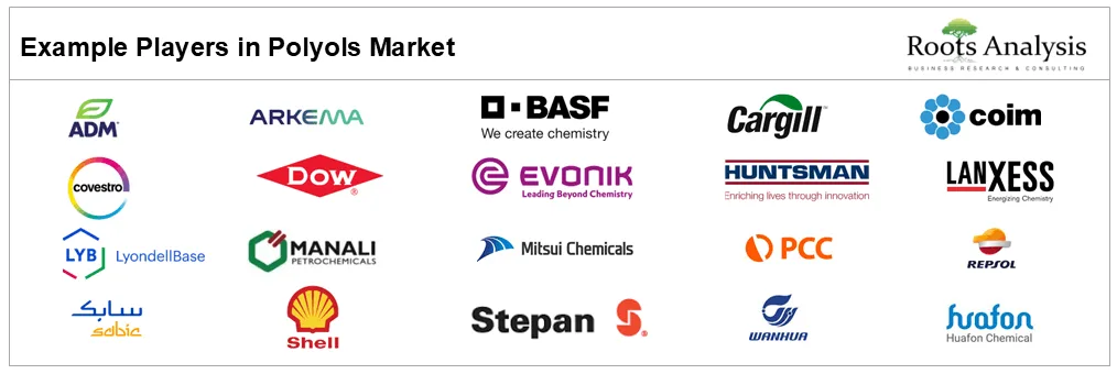 Polyols Market by Example Players