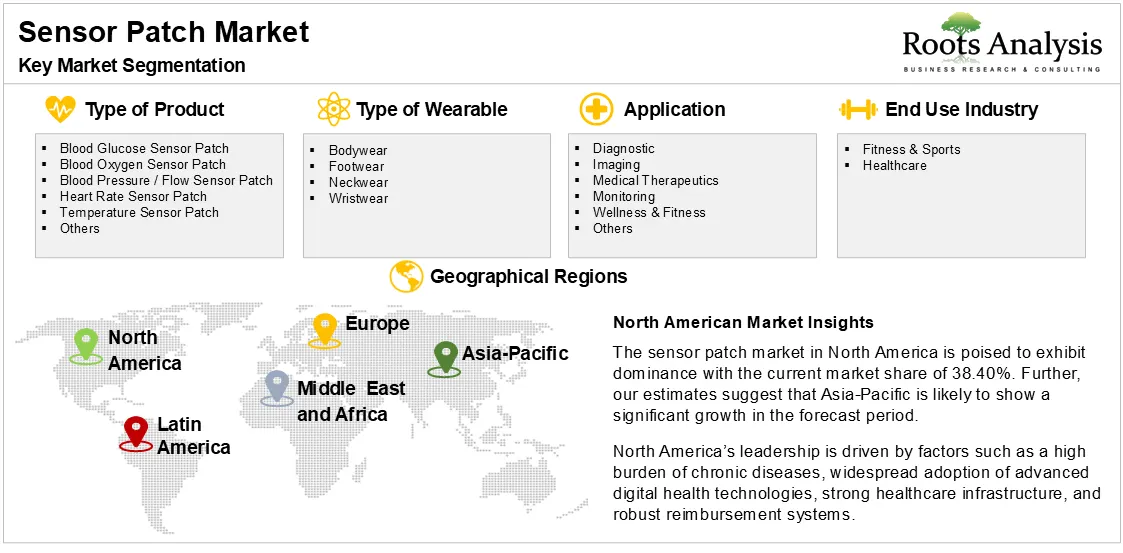 Sensor Patch Market by Key Segmentation