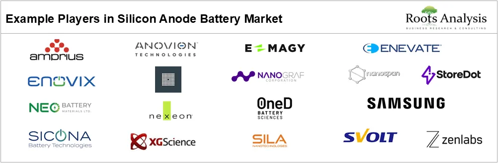 Silicon Anode Battery Market by Example Players, 2026