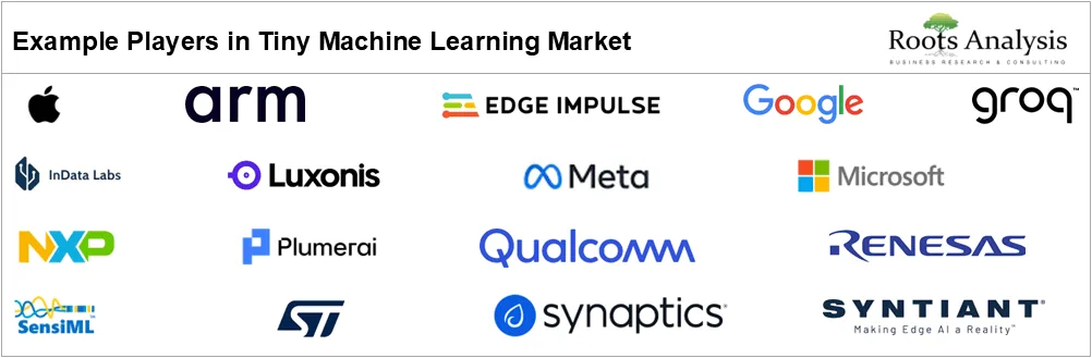 Tiny Machine Learning Market by Example Players
