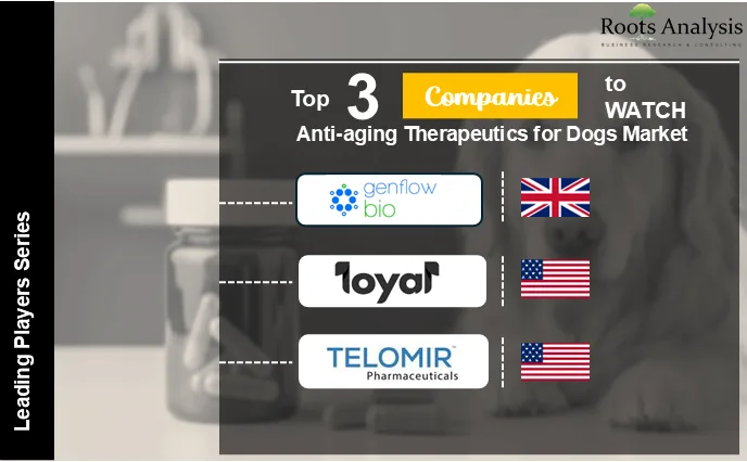 top 3 Anti-aging Therapeutics for Dog Companies