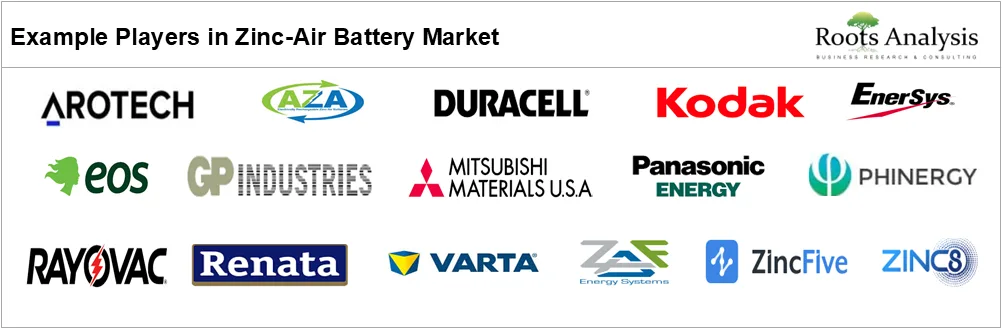 Zinc-Air Battery Market, By Example Players Zinc-Air Battery Market, By Example Players