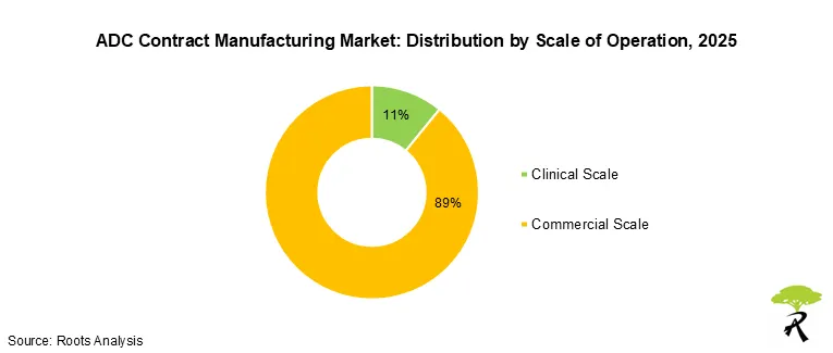 ADC contract manufacturing market share by scale of operation, clinical versus commercial, 2025