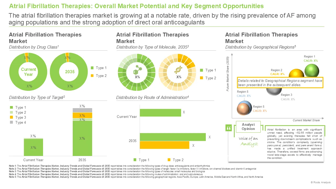 Atrial Fibrillation Market Potential and Key Segment Opportunities