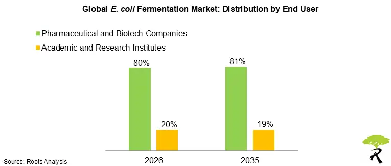 E. coli Fermentation Market Size by End User, 2026 and 2035