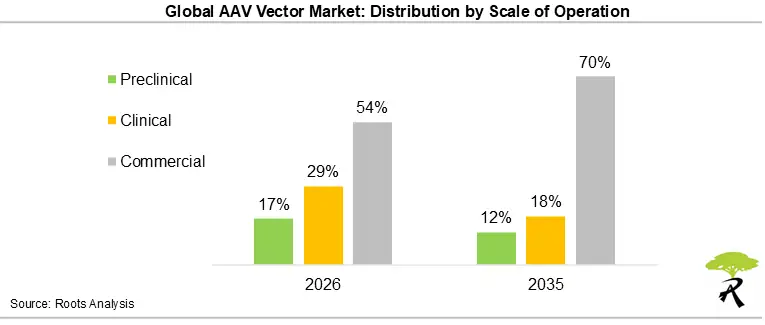 Global AAV Vector Market: Distribution by Scale of Operation 2026 and 2035 Global AAV Vector Market: Distribution by Scale of Operation 2026 and 2035
