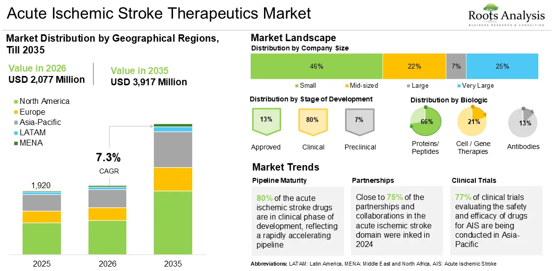 Global Acute Ischemic Stroke Therapeutics Market Outlook, 2025 to 2035