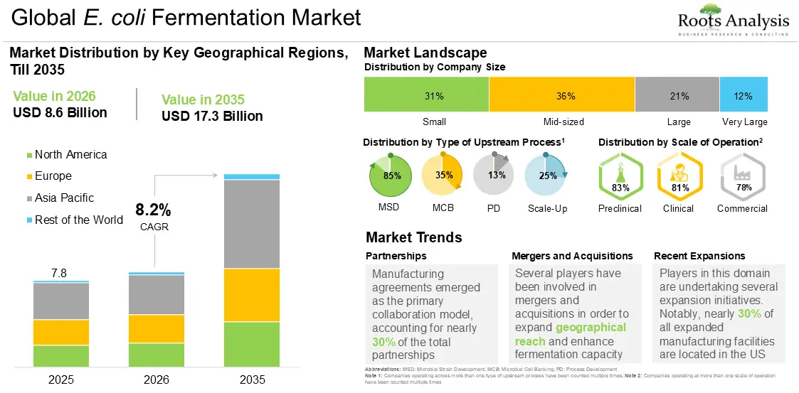Global E. coli Fermentation Market Growth 2025 to 2035