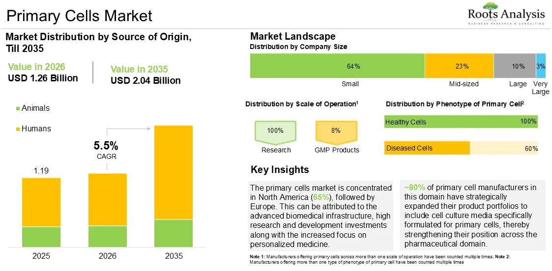 Global Primary Cells Market Growth 2025 to 2035