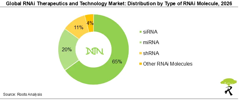 Global RNAi Therapeutics and Technology Market Share by Type of RNAi Molecule, 2026