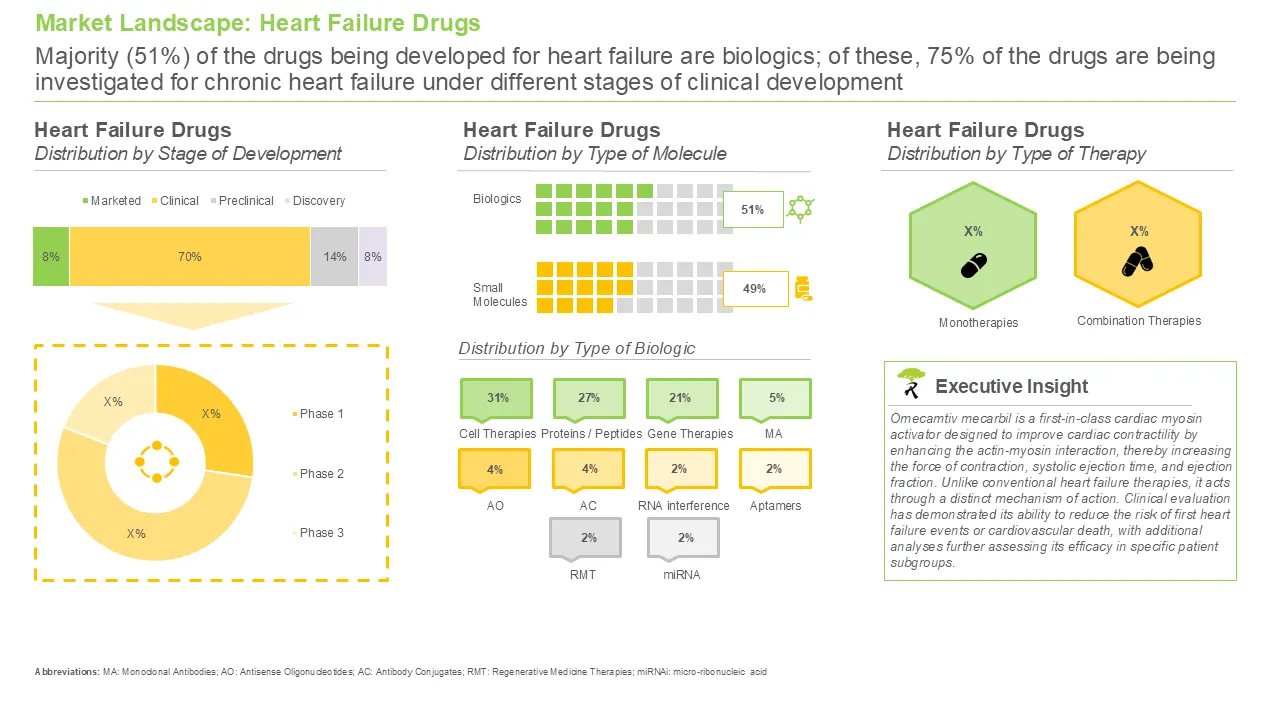 Heart Failure Drugs Market Landscape Heart Failure Drugs Market Landscape