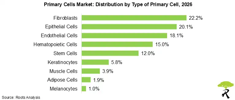Primary Cells Market Share by Type of Primary Cell, 2026