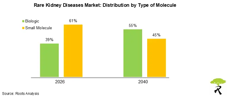 Rare Kidney Disease Market Size by Type of Molecule, 2026 and 2040
