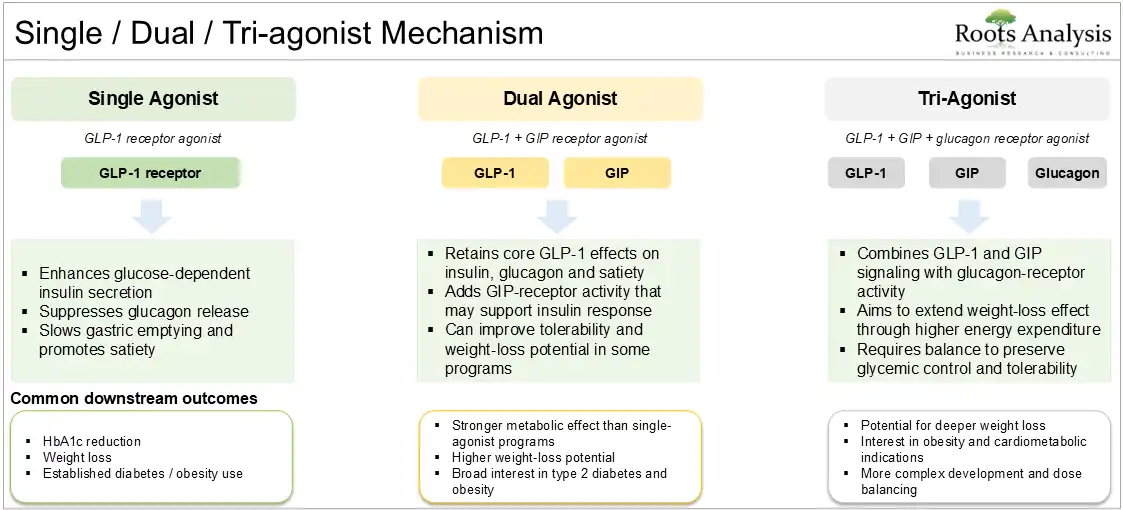 Single, dual, tri-agonist mechanism of GLP-1 receptor agonist drugs