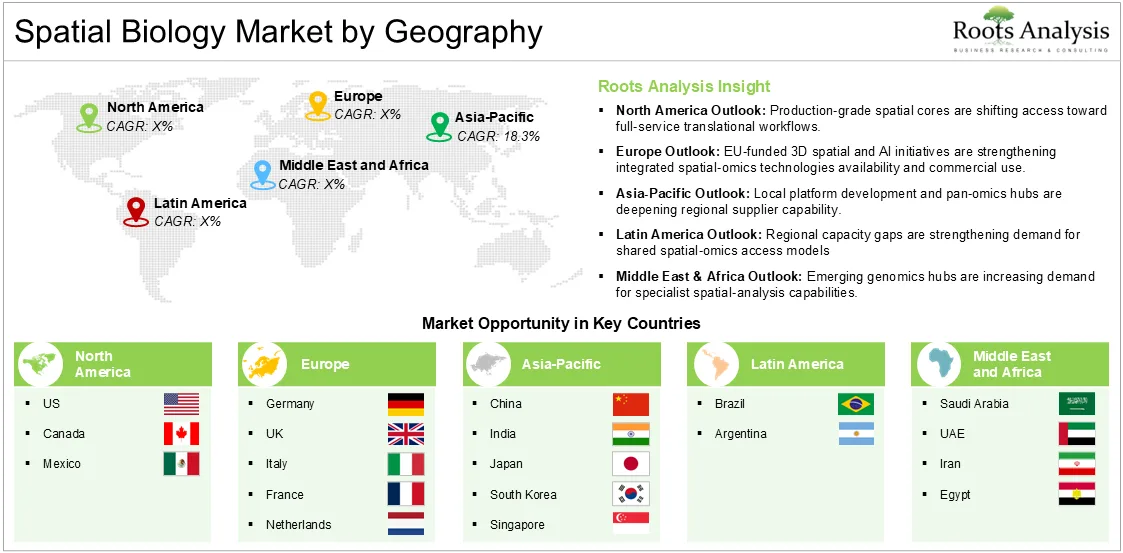 Insights into Spatial Biology Market by Geography and List of Key Countries Forecasted Insights into Insights into Spatial Biology Market by Geography and List of Key Countries Forecasted