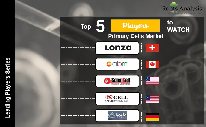 Top 5 Companies to Watch Developing Primary Cells Market