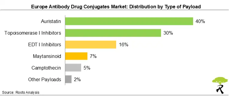 Europe Antibody Drug Conjugates Market Share by Type of Payload, 2035